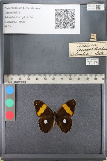 Media type: image;   Entomology 141221